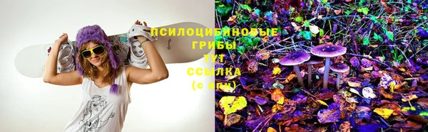каннабис Арсеньев