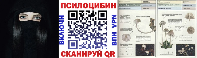 купить   Миньяр  Псилоцибиновые грибы ЛСД 